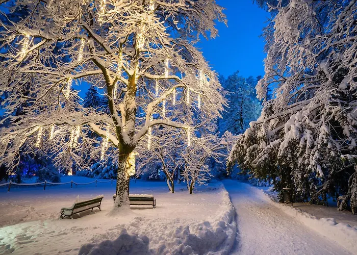 Goldener Adler, Bw Signature Collection Hotel